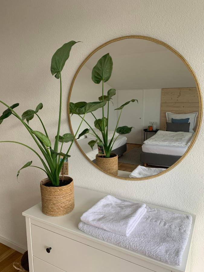 Schoene, Grosse Ferienwohnung Direkt Am Donauradweg & Keltenstadt Heuneburg Herbertingen Luaran gambar