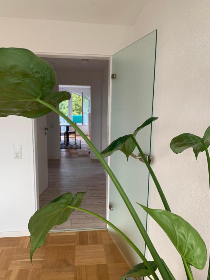 Schoene, Grosse Ferienwohnung Direkt Am Donauradweg & Keltenstadt Heuneburg Herbertingen Luaran gambar