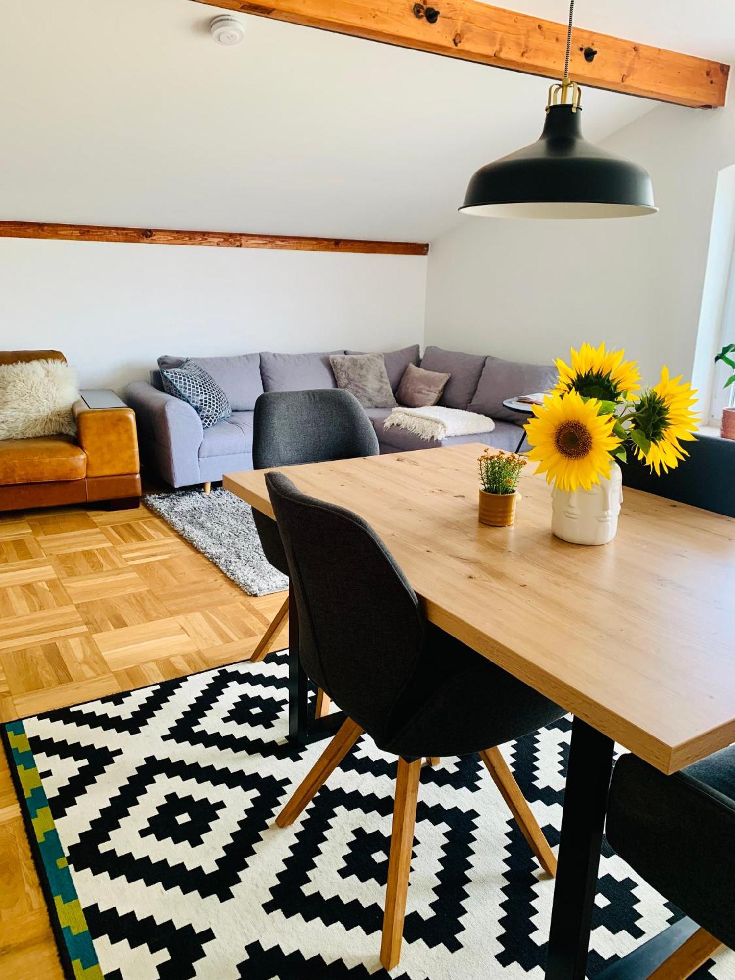 Schoene, Grosse Ferienwohnung Direkt Am Donauradweg & Keltenstadt Heuneburg Herbertingen Luaran gambar